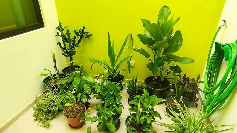 Casa Jpi Otel São Pedro Yeşil Burun Adaları